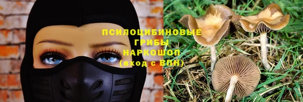 дживик Волосово