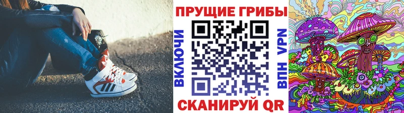 Купить где  Красновишерск  Псилоцибиновые грибы мухоморы 